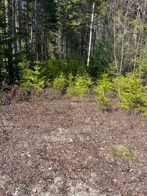 37 Missy Way, Steuben, ME, 04680 | Card Image