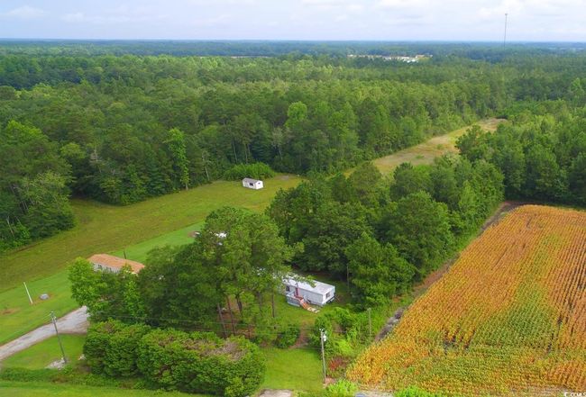 View of rural area with a heavily wooded area | Image 6