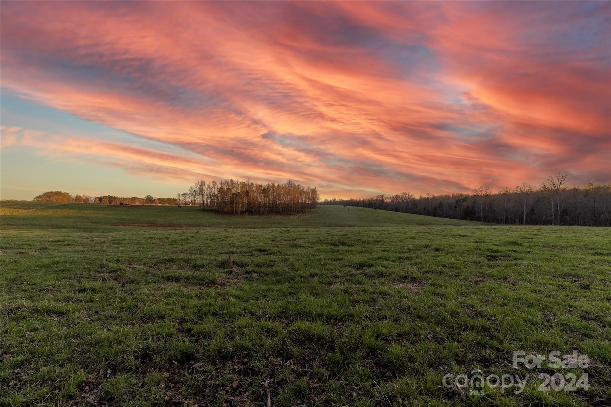 Morning Glory Ln, Cleveland, NC 27013 #1