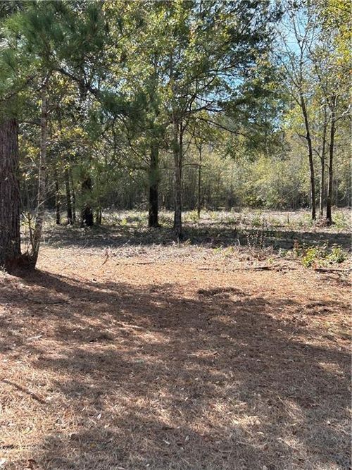 10086 Highway 43, Creola, AL, 36525 | Card Image