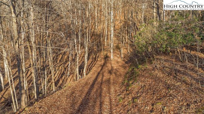 Roadway into the property which is unimproved as you enter on Hidden Light Lane. | Image 10