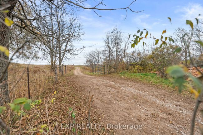 1742 Cameron St W, House other with 3 bedrooms, 2 bathrooms and 8 parking in Cannington ON | Image 44
