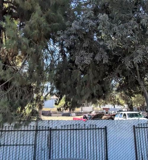 2012 E Clay Avenue, Fresno, CA, 93701 | Card Image