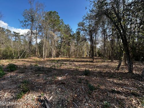0 Lakeside Dr, Carriere, MS, 39426 | Card Image