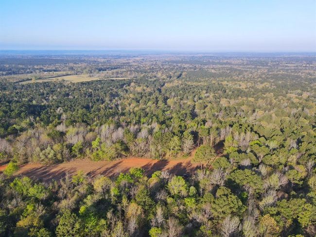 99 Cr 2107, Home with 0 bedrooms, 0 bathrooms and null parking in Rusk TX | Image 14