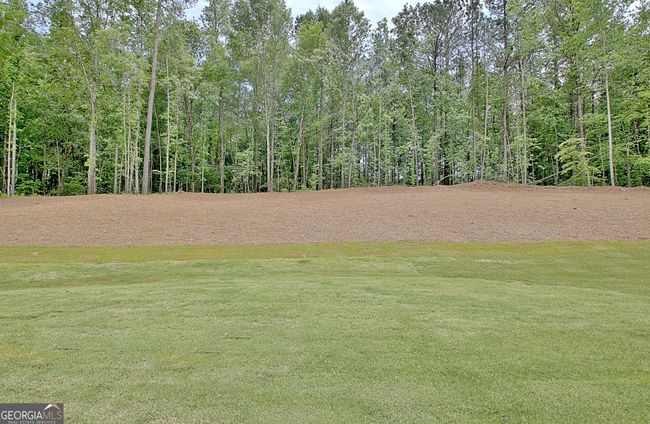 112 Ryeland Dr, House other with 4 bedrooms, 4 bathrooms and 3 parking in Senoia GA | Image 84