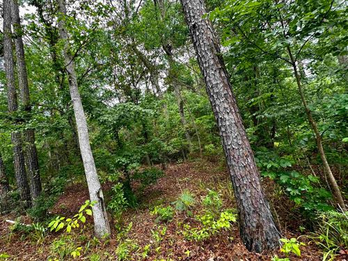 TBD Lakeshore Dr, Hemphill, TX, 75948 | Card Image