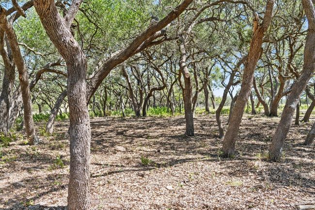 12 Lew Dele Lane, Home with 0 bedrooms, 0 bathrooms and null parking in Blanco TX | Image 8