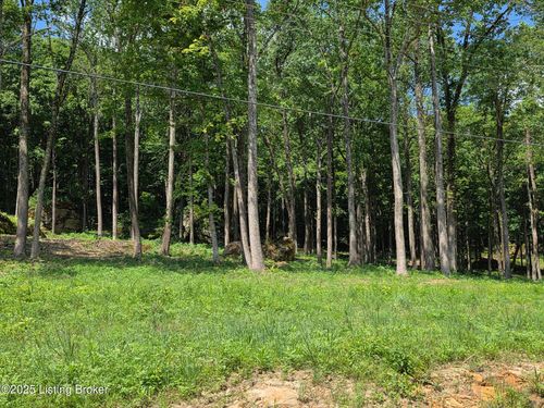 3 Cave Creek Rd, Falls Of Rough, KY, 40119-6413 | Card Image
