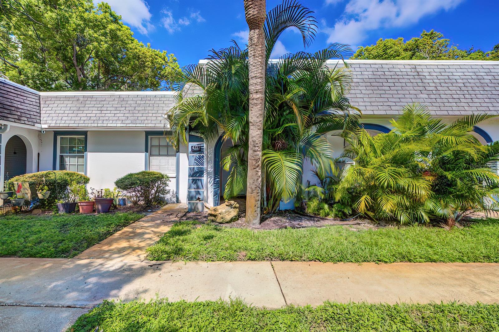 Touchton Pl, New Port Richey, FL 34652