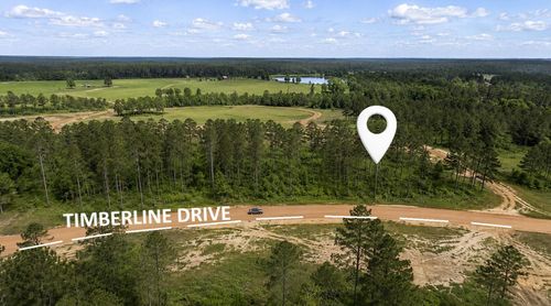 000 Timberline Dr, Hillister, TX, 77624 | Card Image