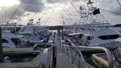 Bohicket Marina | Image 2