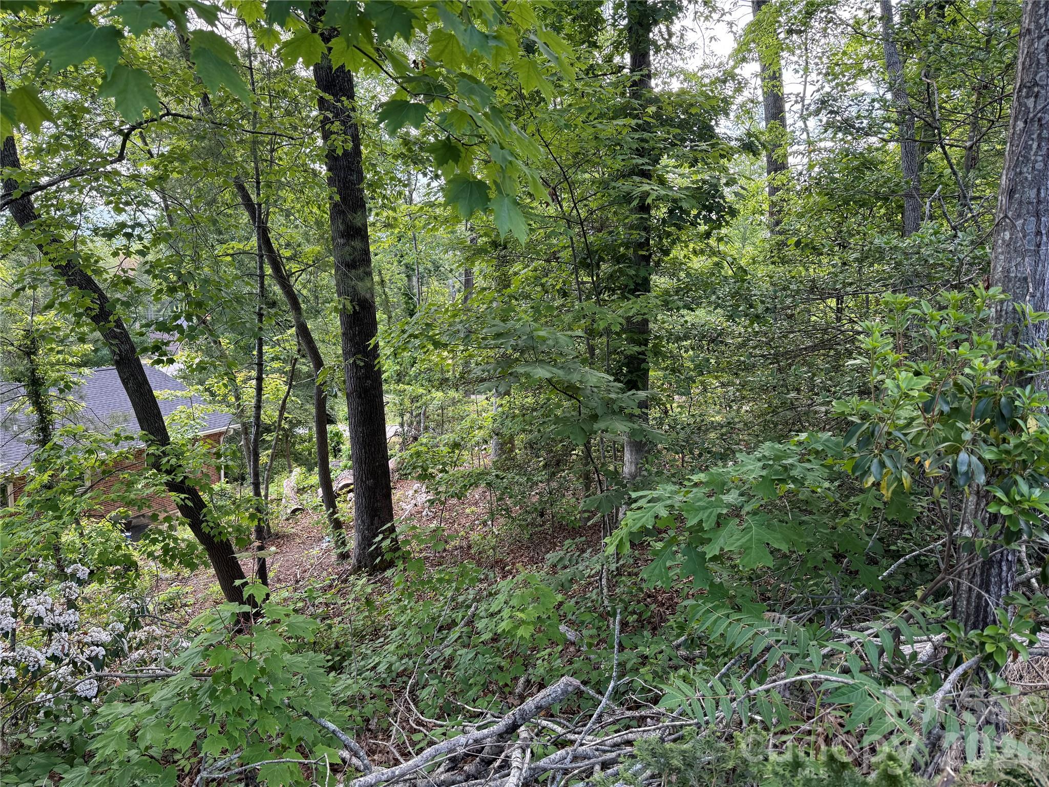 Land in Hendersonville 4