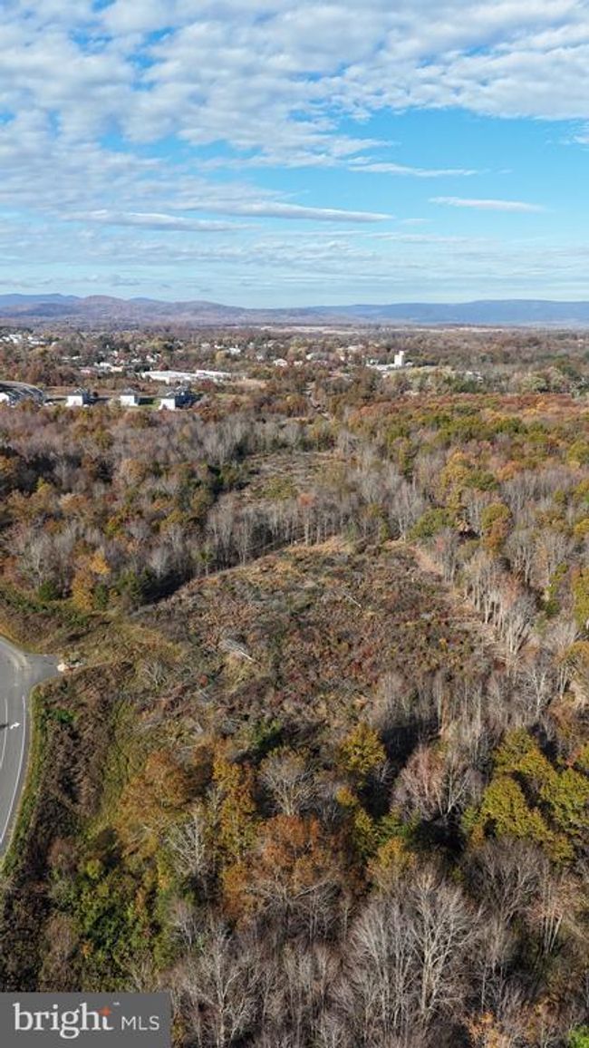 Lot 7 Whiting Rd, Home with 0 bedrooms, 0 bathrooms and null parking in MARSHALL VA | Image 12