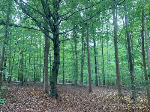 0 Fawn Ln, Waxhaw, NC, 28173 | Card Image