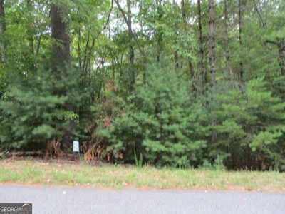 25 - LOT 25 Byers Road, Home with 0 bedrooms, 0 bathrooms and null parking in Blairsville GA | Image 3