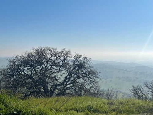 9349 Lazo Way, La Grange, CA, 95329-8608 | Card Image