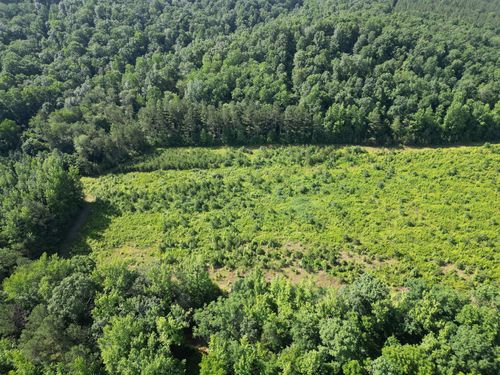 0 Brushy Rd, Centerville, TN, 37033 | Card Image