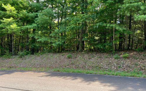 LT 58 Fires Creek Rd, Hayesville, NC, 28904-7526 | Card Image