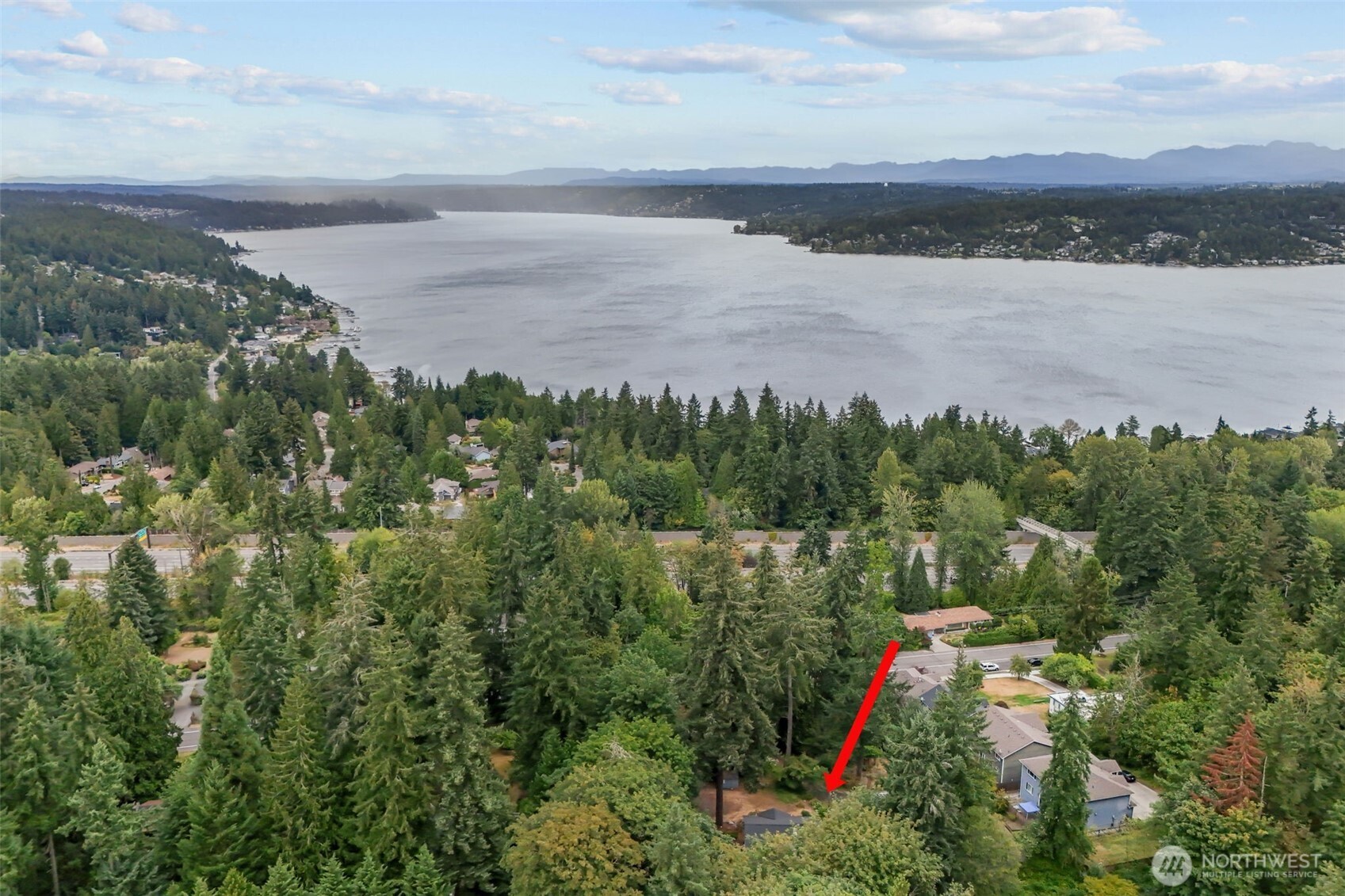 Residential in Bellevue 5