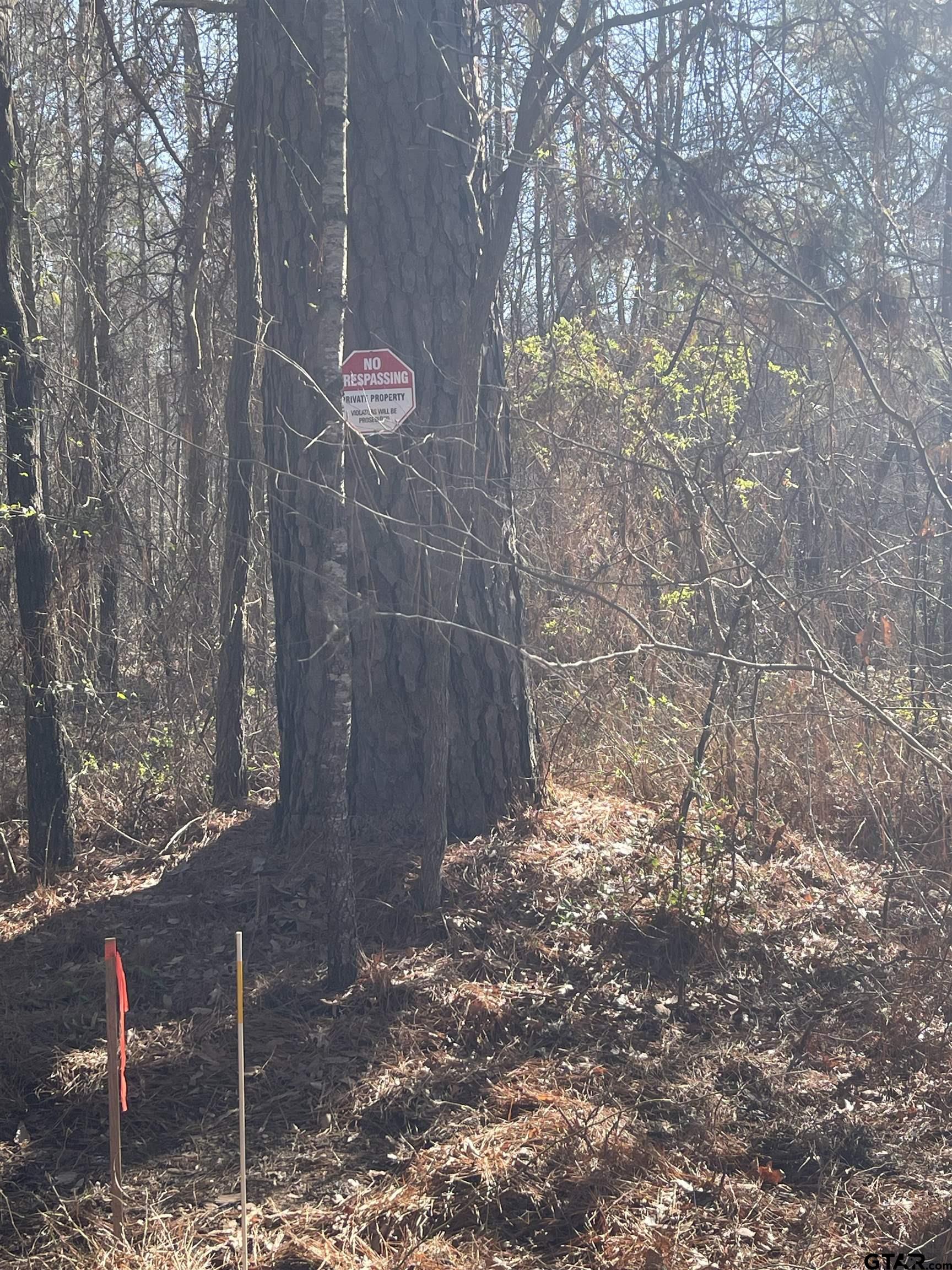 Land in Troup 5