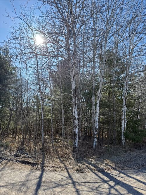 1.06 Acre On 297th Avenue, Holcombe, WI, 54745 | Card Image