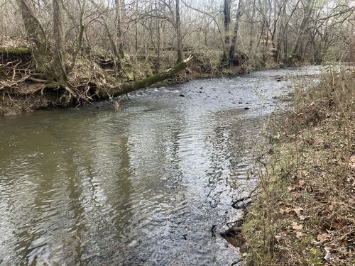 4 Southport Rd, Mount Pleasant, TN, 38474 | Card Image