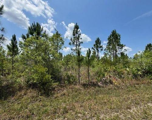 1015 Calliandra Dr, INDIAN LAKE ESTATES, FL, 33855 | Card Image