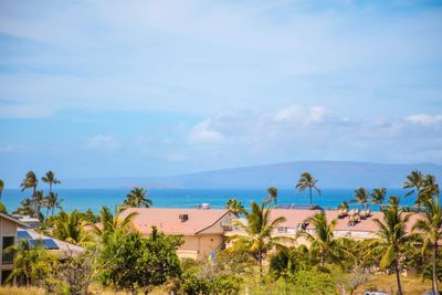 D202 - 2387 S Kihei Rd, Condo with 1 bedrooms, 1 bathrooms and null parking in Kihei HI | Image 3