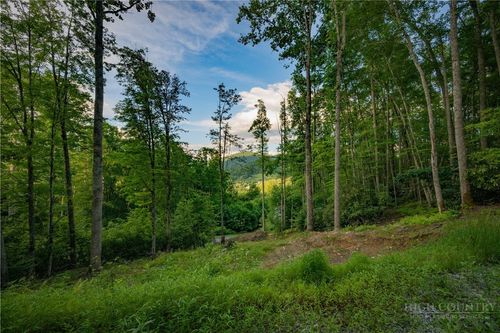 Lot 4 Elk Creek Dr, Banner Elk, NC, 28604 | Card Image