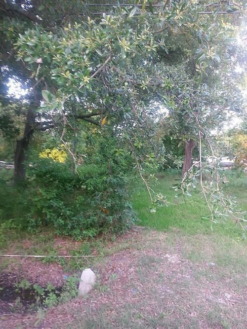 0 Sandra St, Houston, TX, 77028 | Card Image