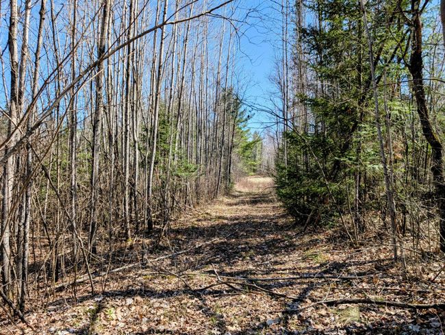 N12912 State Highway 13, House other with 2 bedrooms, 1 bathrooms and null parking in Fifield WI | Image 48