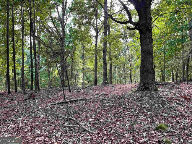 0 Peach Orchard Dr, Home with 0 bedrooms, 0 bathrooms and null parking in Alto GA | Image 18
