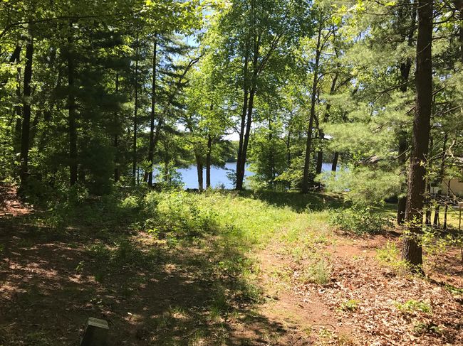 21249 Monroe Rd, Home with 0 bedrooms, 0 bathrooms and null parking in Morley MI | Image 5