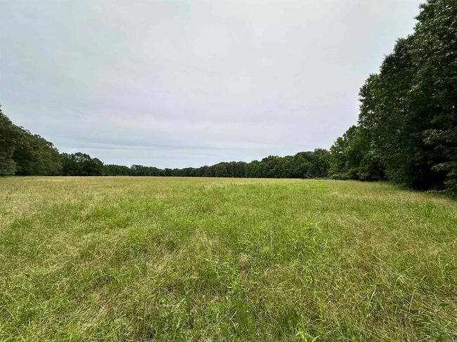 000 Oak Dale Rd, Home with 0 bedrooms, 0 bathrooms and null parking in Lonoke AR | Image 11