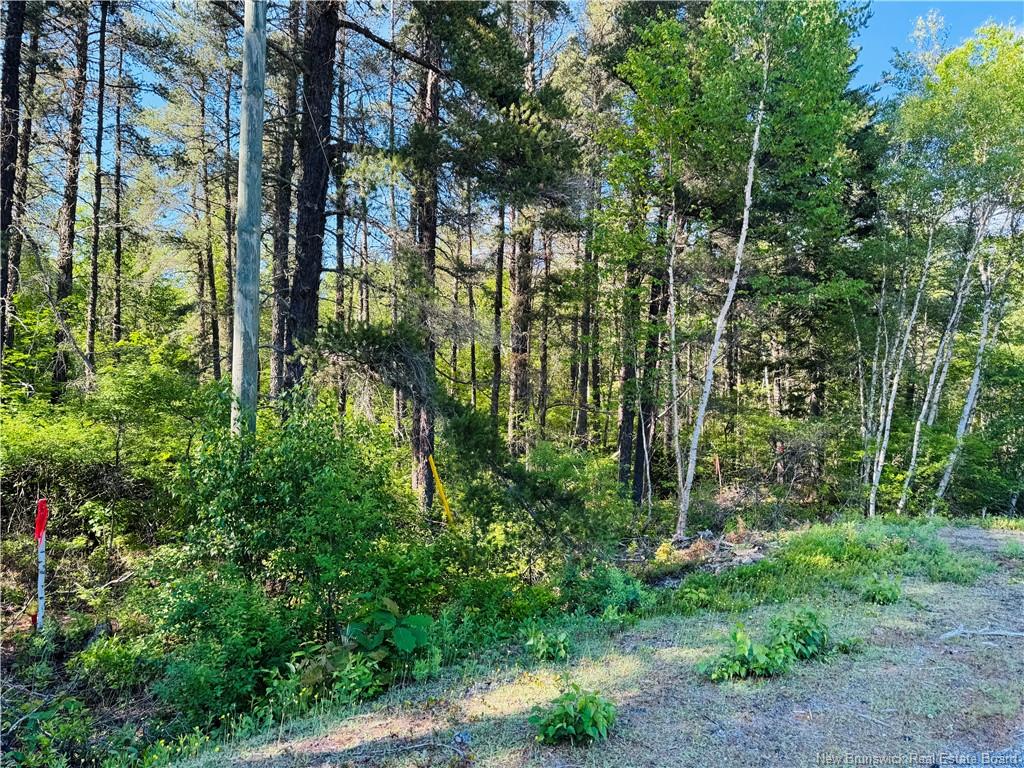Land in Miramichi 2