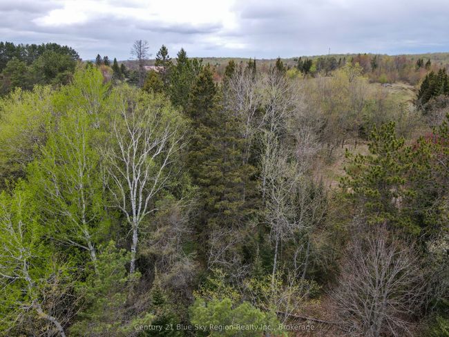 Lot 8 Lindsay Hill Road, Home with 0 bedrooms, 0 bathrooms and null parking in Parry Sound Remote Area ON | Image 23