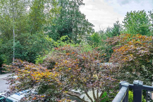 212 - 11665 Haney Bypass, Condo with 2 bedrooms, 2 bathrooms and 1 parking in Maple Ridge BC | Image 29