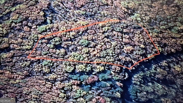 Land in Ellijay 4