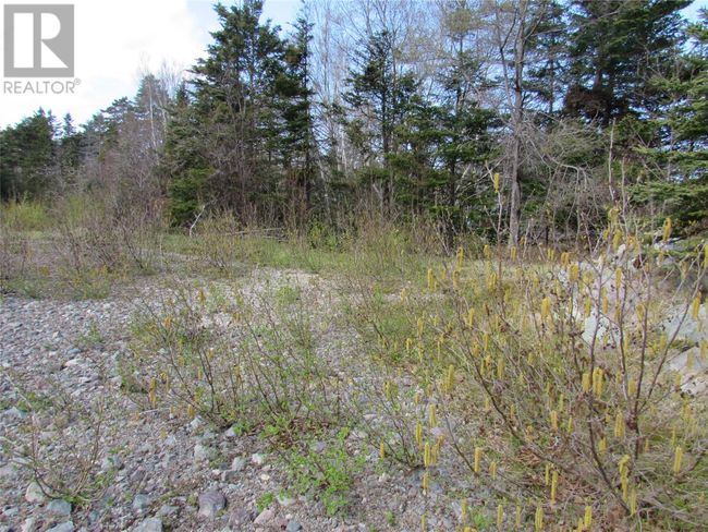 37-41 A Conception Bay Highway, Home with 0 bedrooms, 0 bathrooms and null parking in Harbour Main NL | Image 10