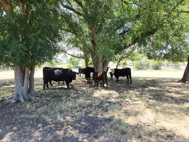 153 Fallow Dr, Home with 0 bedrooms, 0 bathrooms and null parking in Harper TX | Image 14