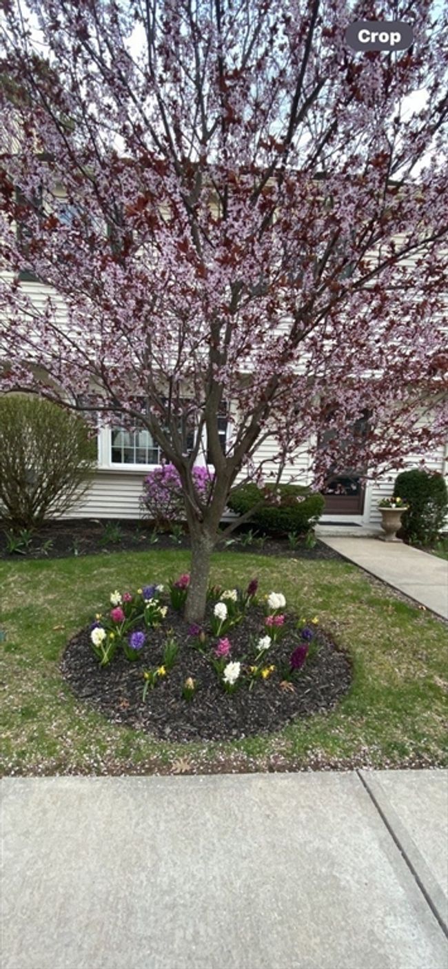 APT-2 - 801 Washington St, Condo with 3 bedrooms, 2 bathrooms and 2 parking in Pembroke MA | Image 37