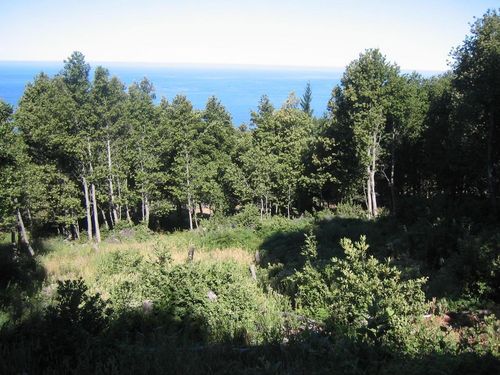 205 Cook Rd, Whitethorn, CA, 95589-9011 | Card Image