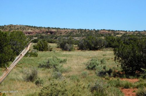 antelope-ridge-lot-39-TBD County Road 8439, Concho Valley, AZ, 85924 | Card Image