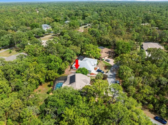 11 Nicotiana Ct, House other with 3 bedrooms, 2 bathrooms and null parking in Homosassa FL | Image 65