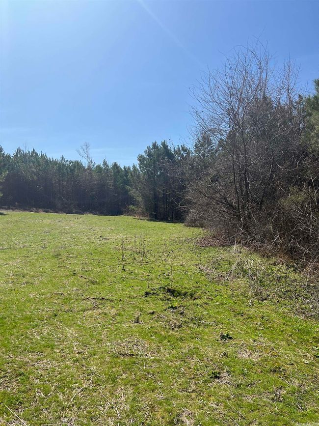 00 Nevada County 175 Road, Home with 0 bedrooms, 0 bathrooms and null parking in Rosston AR | Image 23