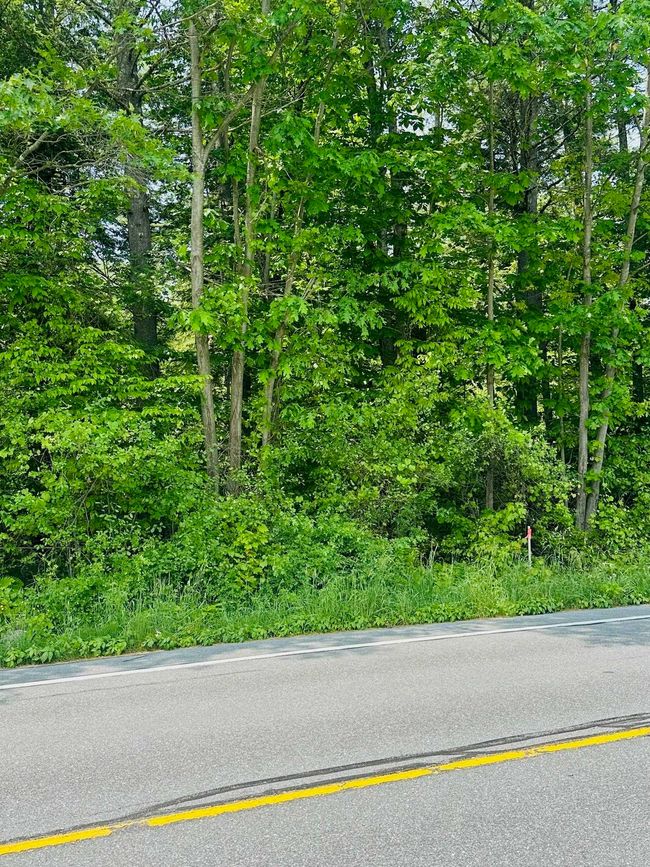 LOT-2 - 123 Rte 5, Home with 0 bedrooms, 0 bathrooms and null parking in Westminster VT | Image 11