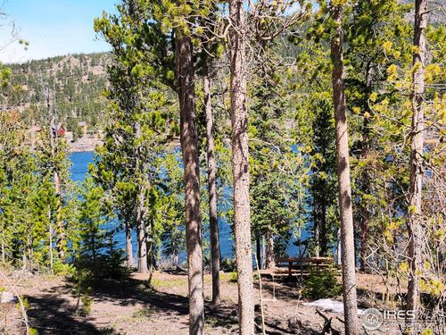 86 Timicua Ct, Red Feather Lakes, CO, 80545 | Card Image