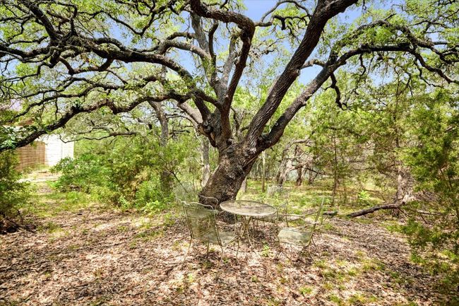 Just Beautiful! A great place to secret away and have a picnic or a conversation... Legendary | Image 34