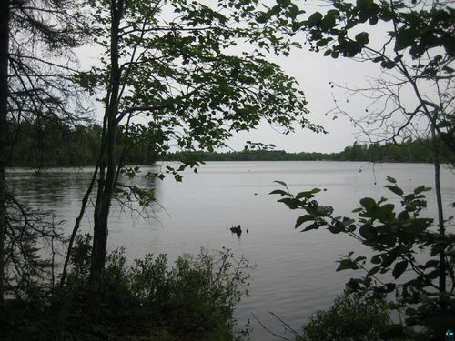 13848 Queens Bay Rd, Ely, MN, 55731-8285 | Card Image